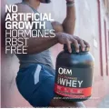 Weight Gain Muscle Mass Gainer Protein Powder
